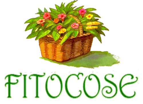 Fitocose.it