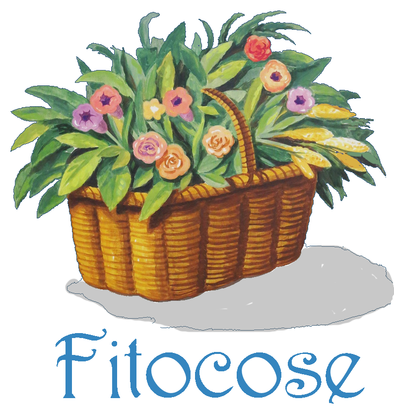 Fitocose.it